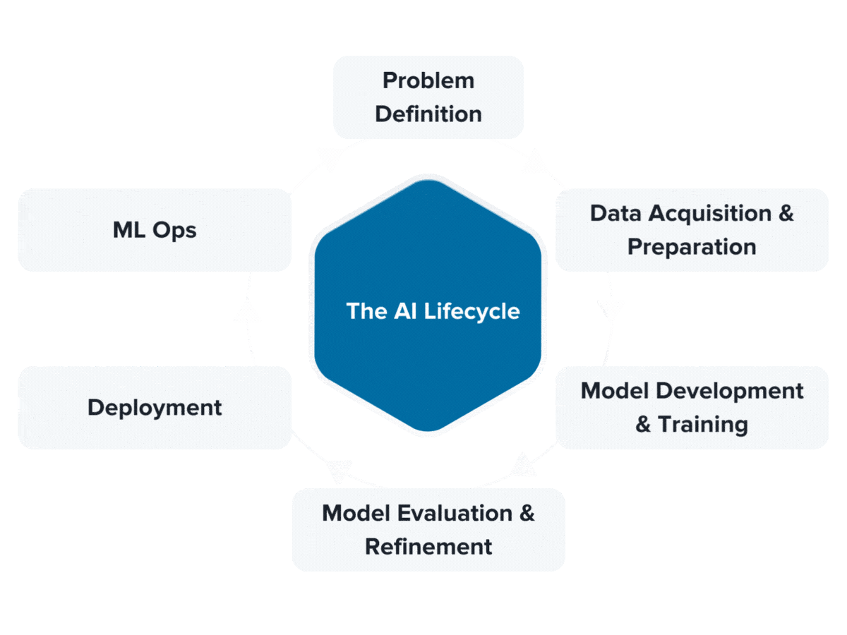 The AI Lifecycle