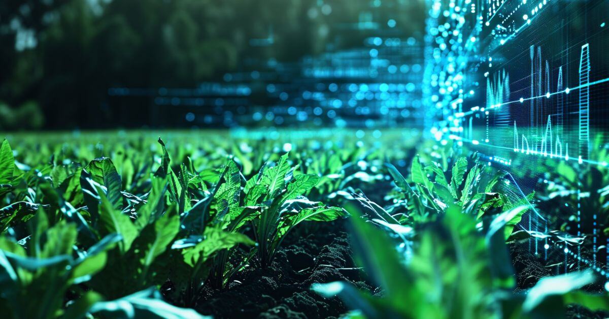 Navigating-the-field-Overcoming-AI-challenges-in-AgTech