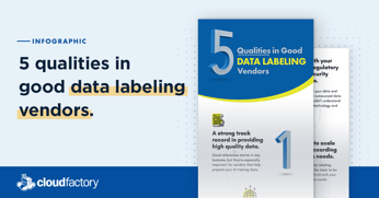 5 Qualities in Good Data Labeling Vendors [Infographic]
