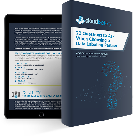 20 Critical Questions to Ask Data Labeling Providers