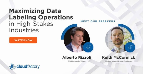 Maximizing Data Labeling Operations in High-Stakes Industries