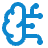 brain-circuit