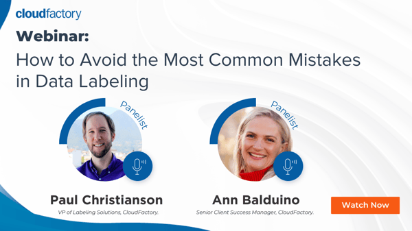 How to Avoid the Most Common Mistakes in Data Labeling