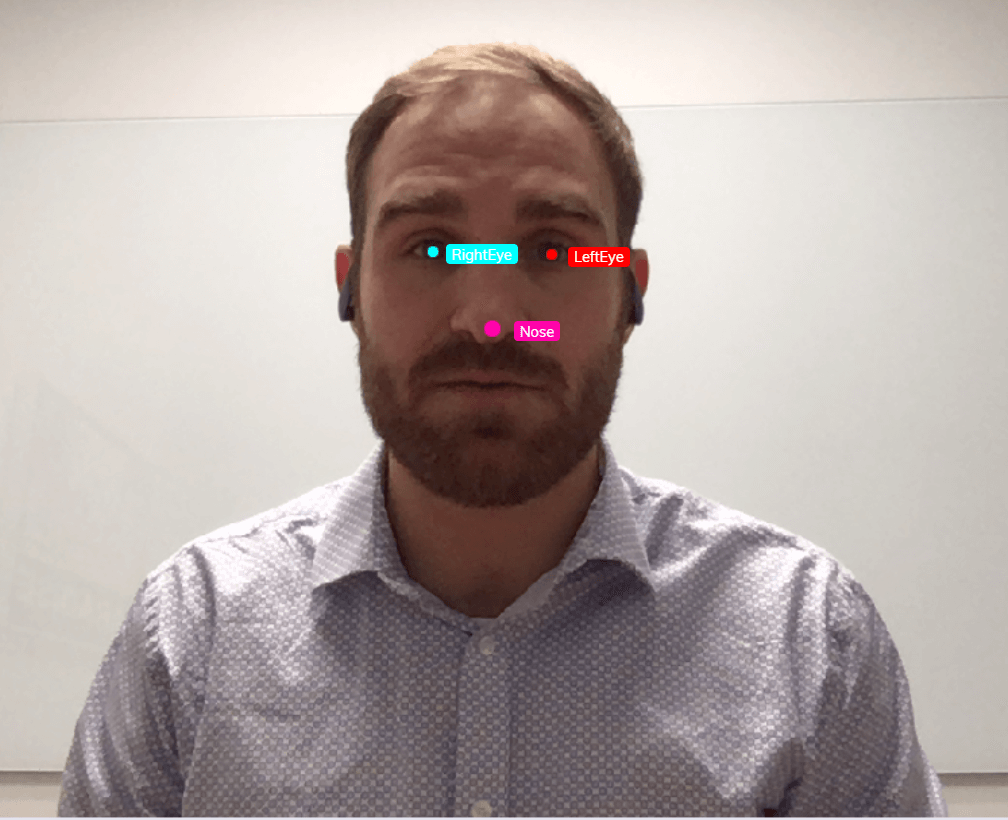 This is an example of image annotation using landmarking. A man is pictured from the shoulders up. The eyes and nose are the features of interest. Each of his eyes is marked with a single dot and with the labels 'left eye' and 'right eye.' His nose is marked with a single dot and labeled with the word, 'nose.'