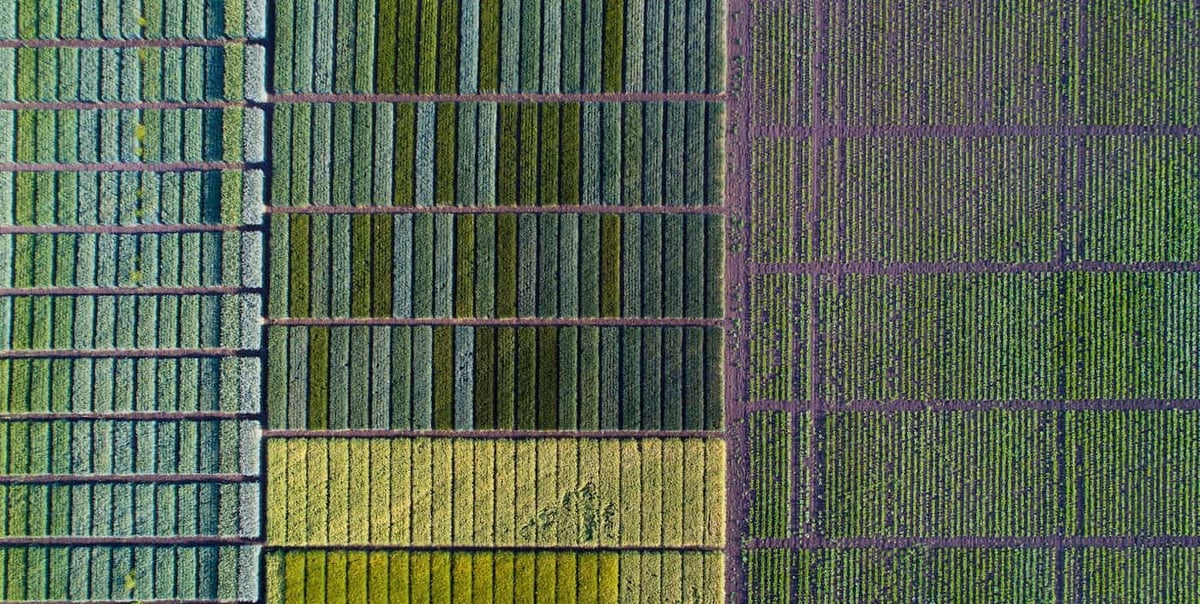 An AgTech company uses imagery from drones and satellites to provide farmers with crop analytics to help them increase their yields. This image shows an aerial view of farmland segmented by crop type.