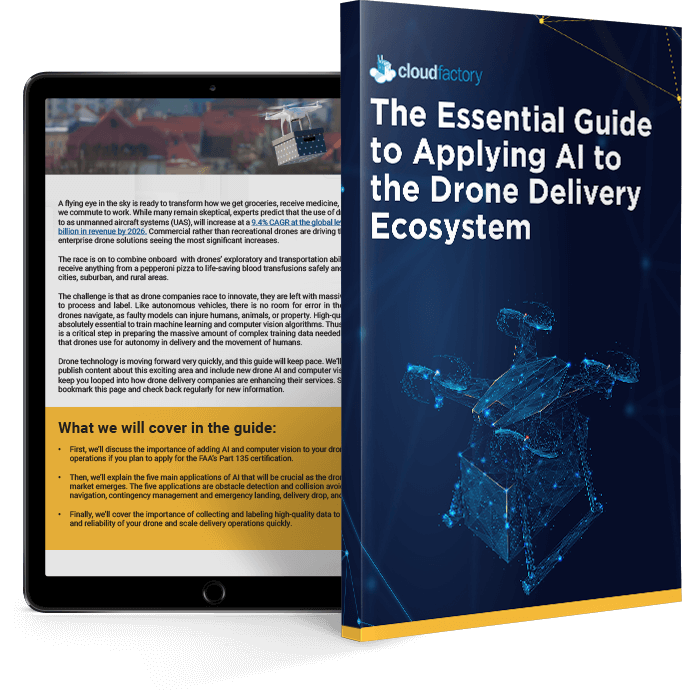 The Essential Guide to Applying AI to the Drone Delivery Ecosystem