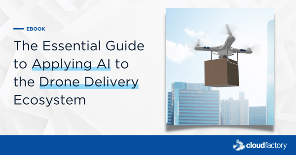 The Essential Guide to Applying AI to the Drone Delivery Ecosystem