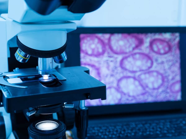 Medical Research and Pathology