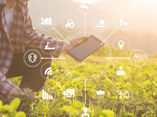 AI-in-Agriculture-Better-Quality-Speed-ROI