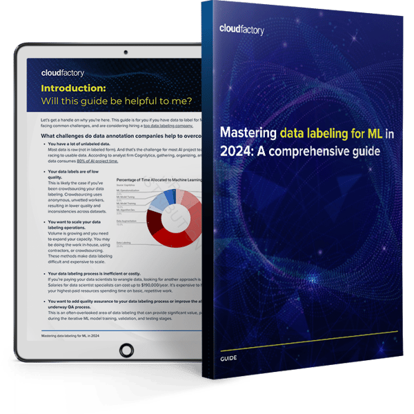 Mastering data labeling for ML in 2024: A comprehensive guide