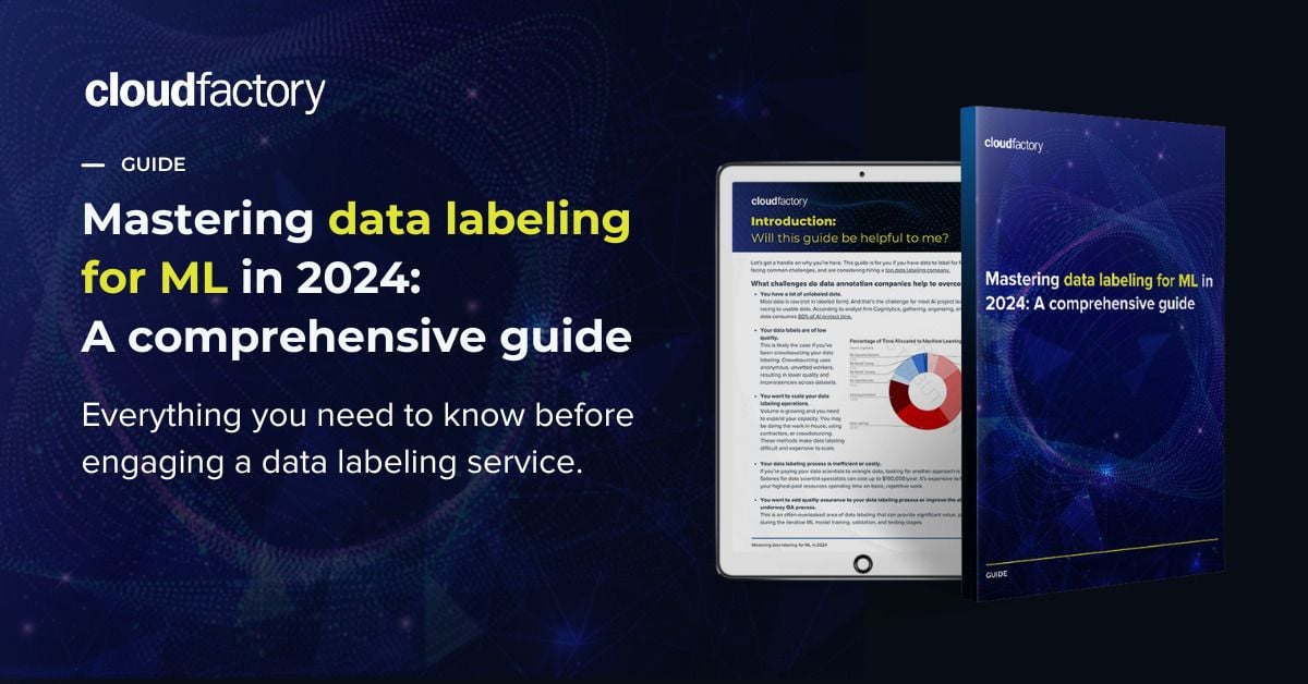 Mastering data labeling for ML in 2024: A comprehensive guide