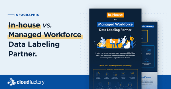 In-House vs. Managed Workforce Data Labeling Partner