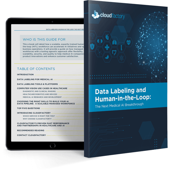 Data Labeling & Human-in-the-Loop: The Next Medical AI Breakthrough