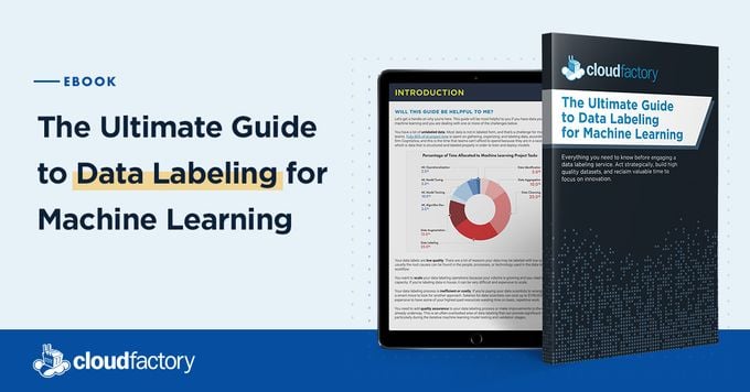The Ultimate Guide to Data Labeling