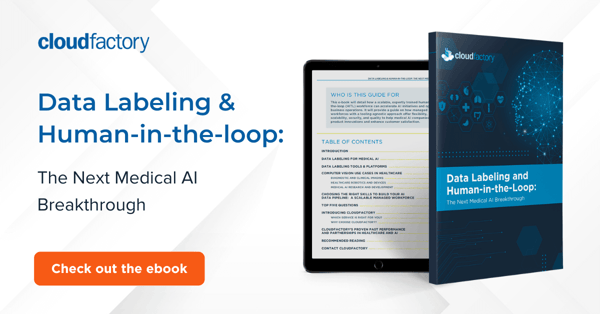 Data labeling and Human in the loop: The next medical AI breakthrough