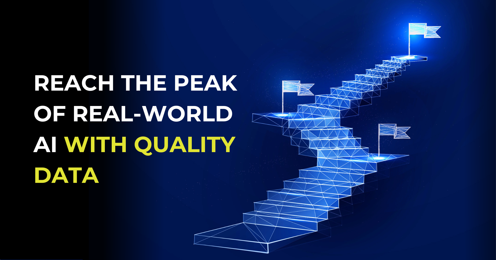 Maximize ROI with quality AI data