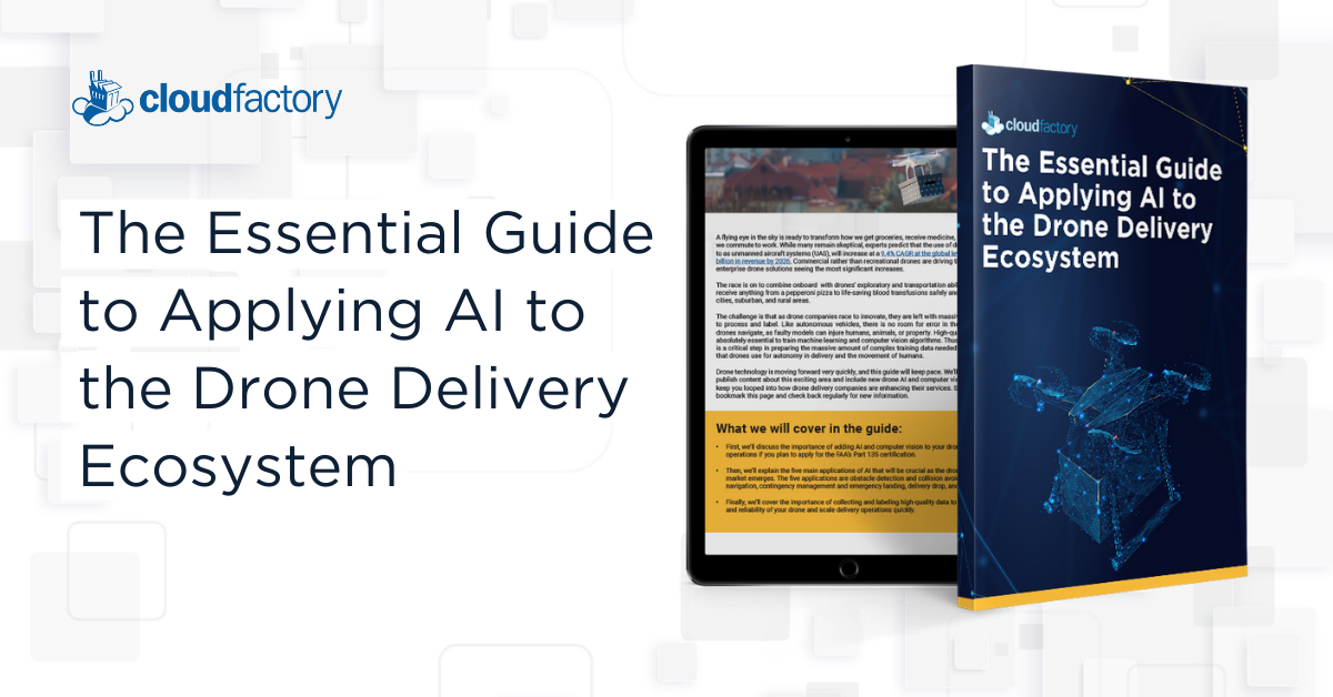 The Essential Guide to Applying AI to the Drone Delivery Ecosystem