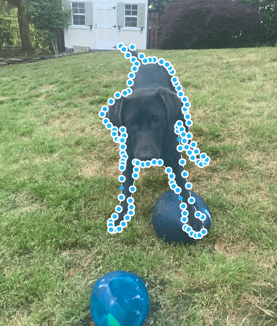 This is an example of image annotation using a polygon. A dog is pictured standing in the grass, playing with two balls. The dog is the object of interest. The dog is annotated with dots placed along the perimeter of the dog’s body, to annotate its edges.