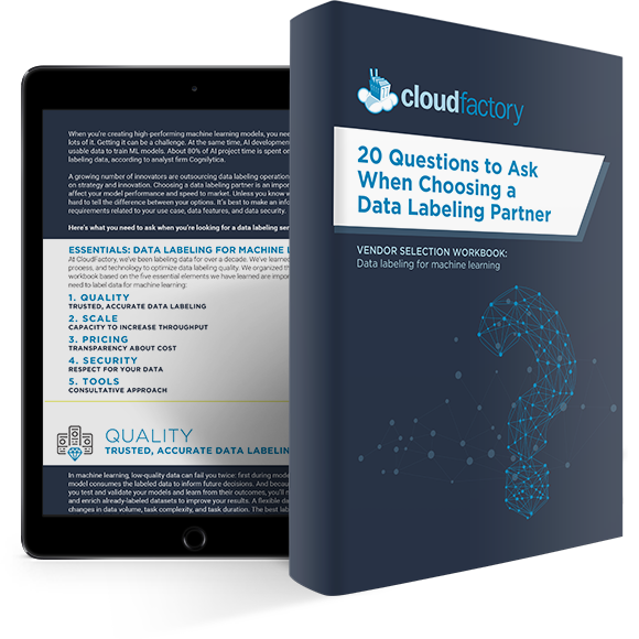 20 Critical Questions to Ask Data Labeling Providers