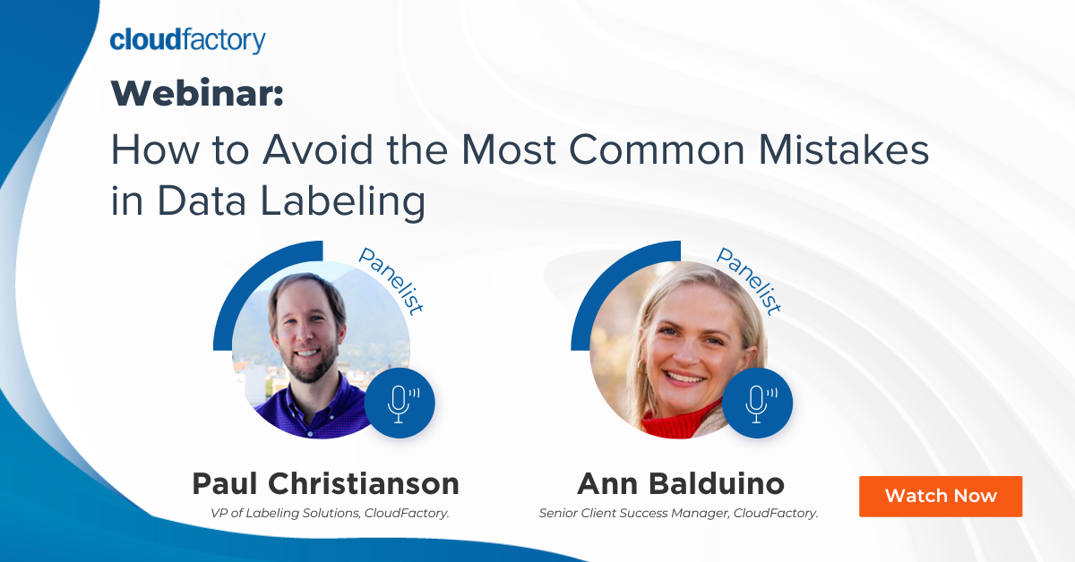 How to Avoid the Most Common Mistakes in Data Labeling