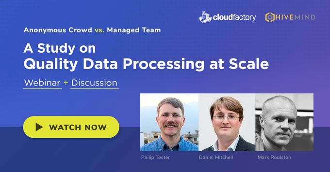 Anonymous Crowd vs. Managed Team: A Study on Quality Data Processing at Scale