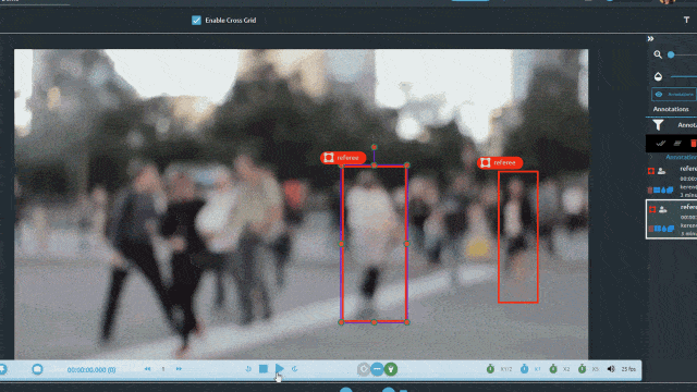 Action Detection