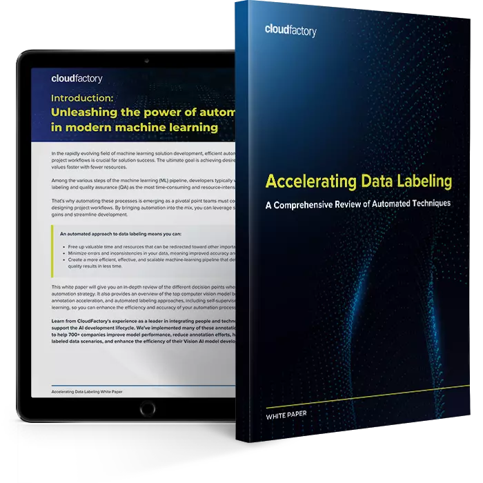 Accelerating Data Labeling: A Comprehensive Review of Automated Techniques