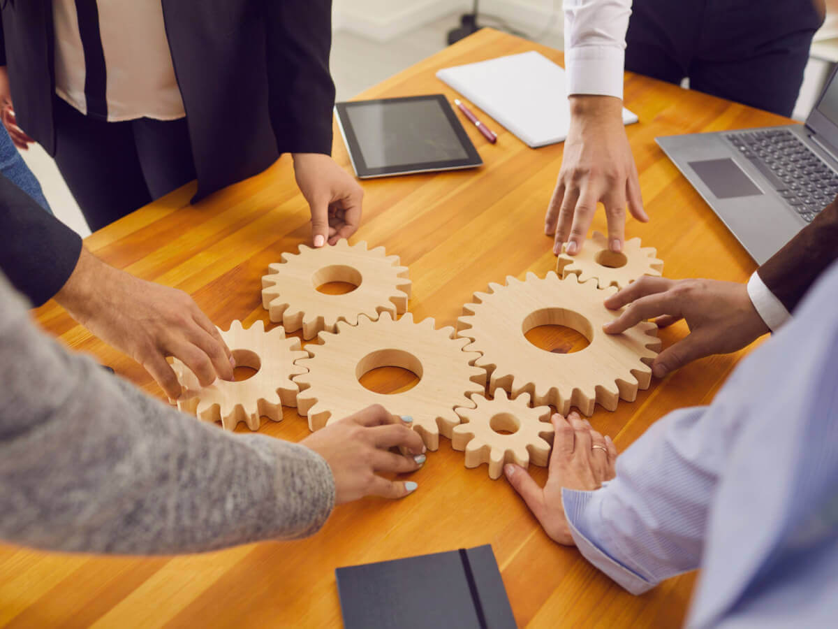 Consultants and system integrators