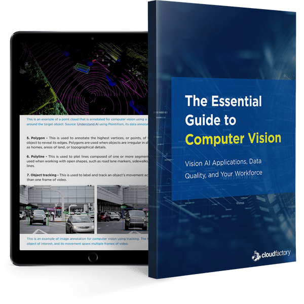 The Essential Guide to Computer Vision